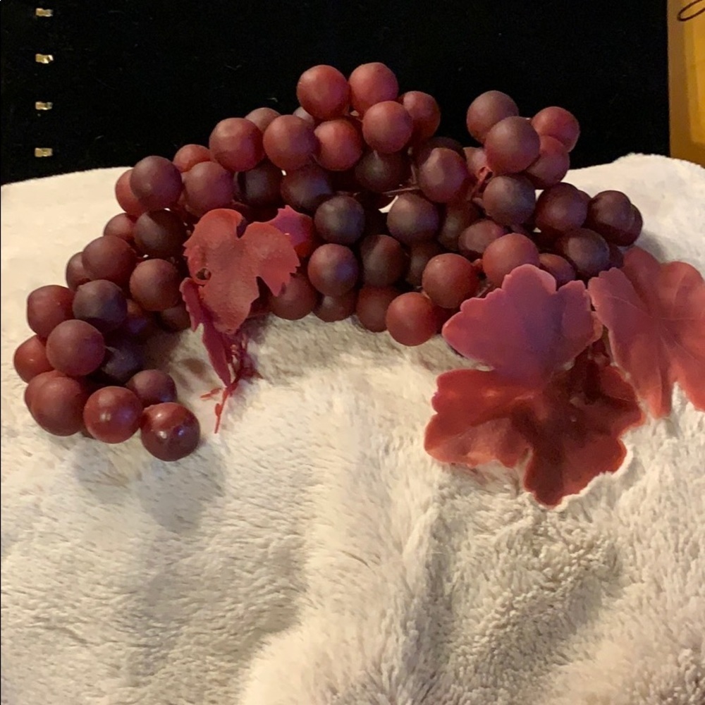 One Very Large Bunch of “Everlasting Grapes”